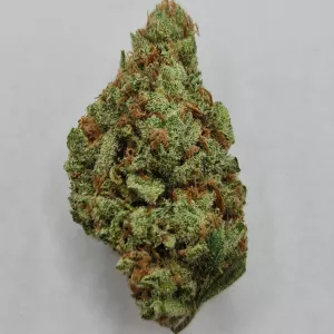 Семена KC Brains MAC Mango <sup>®</sup> (Феминизированные)